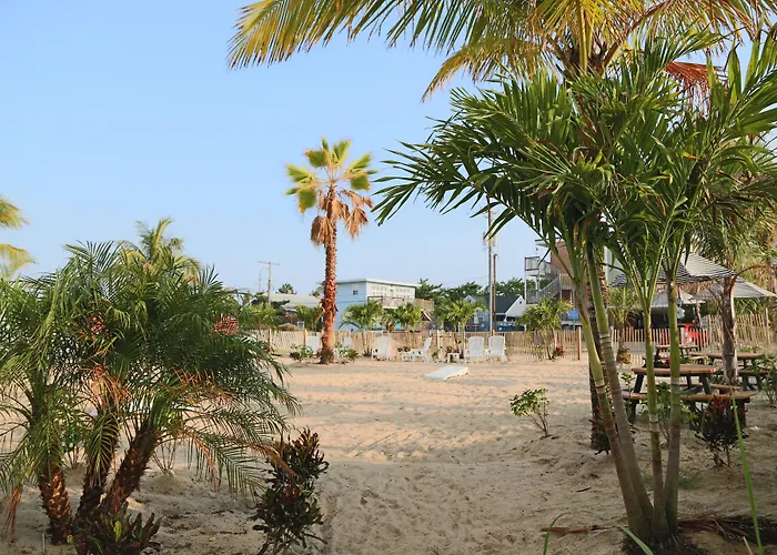 Hotel Doubletree By Hilton Ocean Oceanfront Ocean City